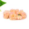 Cabezas de Flores de Clavel Artificiales, Flores Falsas, Flores Artificiales para Bodas, Arreglos Florales, Decoración de Escenas, Flores para Decoración de Cajas de Regalo