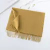 Cachecol de Cor Sólida com Vibe Estilo Coreano para Mulheres, Cachecol de Inverno de Alta Qualidade em Falso Cashmere, Logo Personalizado, Xale Versátil para Outono e Inverno