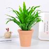 Dropshipping Helecho Nido de Ave Helecho en Maceta Follaje de Interior Planta Verde Flor Sala de Estar Oficina Escritorio de Empresa Planta Novedad