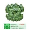 Venta al por mayor del fabricante Hiedra Artificial Ratán Planta Trepadora Hiedra Falsa Hojas de Árbol Falsas Planta de Hoja Verde Enredadera Falsa Decoración de Planta Verde Falsa