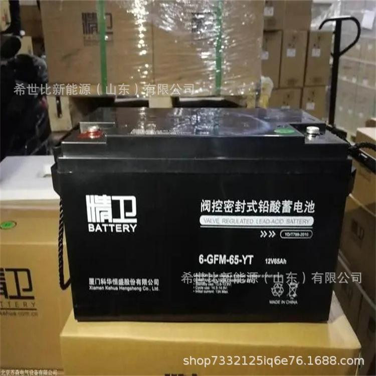 12V65AH1.webp.jpg