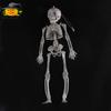 Decoración de Halloween, calavera, esqueleto luminoso, casa embrujada, cámara secreta, decoración del sitio, accesorios de cine y televisión, truco, truco, hombre, modelo, estante