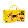 Fábrica de Origen de Guangzhou Caja de Empaque para Artículos para Mascotas Caja de Papel Personalizada para Snacks de Gato y Perro Caja de Empaque de Papel Corrugado de Color