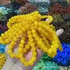 Pulseira de Contas Pedra Olho de Gato 10m. Pulseira de Luxo Leve de Nicho para Camadas, Item Popular de Transmissão ao Vivo e Barraca de Mercado, Pulseira de Pequeno Porte Atacado