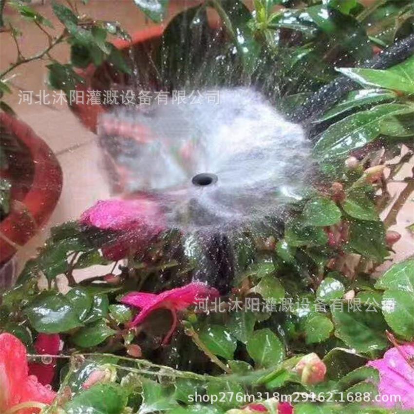 O1CN018lEAc61KsnsGD7hgi_!!2200