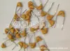 50V 473K 0.047UF 47NF Paso 2.54mm Error del 10%