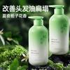 Shampoo com Fragrância Mágica Shampoo Perfumado Shampoo em Creme para Homens e Mulheres Shampoo Refrescante Controle de Oleosidade Venda por Atacado
