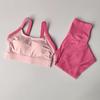 Conjunto de Roupa de Yoga Série Orelha de Gatinho de Alta Intensidade, Conjunto Esportivo de Duas Peças, Conjunto de Roupa de Yoga Feminino para Academia