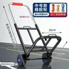 Remolque de Equipaje, Carrito de Carga, Carrito Empujado a Mano, Carrito de Transporte Pequeño, Carrito de Compras Plegable, Envío Gratis, Uso Doméstico, Puesto de Mercado, Compras de Comestibles, Movimiento de Mercancías, Hierro