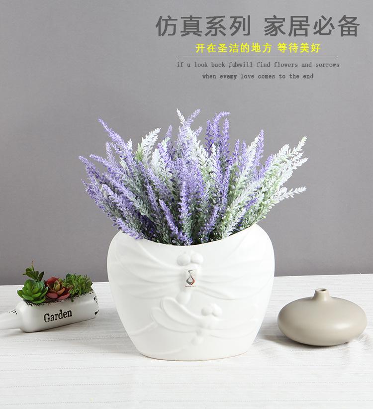 5叉熏衣草