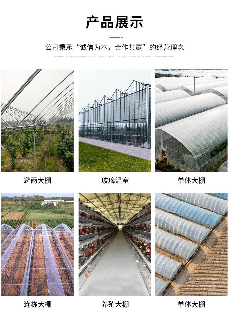 详情 (11).jpg
