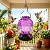 Novo comedouro para beija-flor, suprimentos de jardim para animais de estimação, comedouro de água de vidro para beija-flor, comedouro de pássaros, transfronteiriço