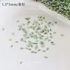 Rhinestones para decoración de uñas de circón biselado color verde fruta, modernos y brillantes, mini rhinestones para uñas de forma irregular con base plana color verde claro fresco