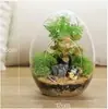 Mesa con forma de huevo Paisaje de musgo microecológico Botella ecológica Planta carnosa Botella de vidrio DIY Regalo creativo Adornos al por mayor
