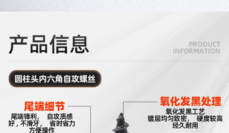碳钢黑色圆柱头内六角自攻螺丝_03_10.jpg