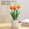 Plantas Verdes Simples Suculentas de Plástico em Vaso Ornamento para Sala de Estar Mesa de Jantar Flores Artificiais Decorações Ornamento Flores Biomórficas