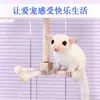 Juguetes para Petauro del Azúcar para Juego y Entretenimiento, Trepar, Molinillos de Viento Giratorios, Juguetes de Flor para Ratas, Juguetes para Hámsters y Loros, Postes de Soporte, Decoraciones para Jaulas