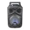 Bt1778 Caixa de Som Bluetooth Portátil para Exterior 8 polegadas com Carrinho 30W Alta Potência Luz Colorida com Microfone