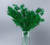 Pinheiro Penglai de Yunnan Material de Flor DIY Buquê de Cedro Clube de Combinação Decoração de Casa Sala de Estar Material Relevo Natural