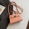 Bolso Cuadrado Pequeño Nuevo Elegante con Hebilla de Cierre Primavera 2026, Bolso de Mano Nuevo Casual y Moderno, Bolso Cruzado de Moda para el Trabajo