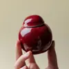 Mini Bote de Cerámica Roja Cocida en Horno de Alta Temperatura Inno-Gui-Song para Uso Doméstico, Frasco Pequeño Sellado para Guardar Té