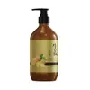 Champú de Jengibre Anticaspa de Venta Caliente OEM Personalizado 500ml Control de Grasa Voluminoso Limpieza Duradera Anticaspa Anti-Picazón