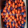 Especializados en la producción de bola de molienda de espuma EVA de 38 grados, procesamiento de bola de espuma EVA, procesamiento de moldeo de bola de espuma arcoíris