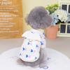 Roupas para animais de estimação outono e inverno novo cão de estimação roupas de gato roupas para animais de estimação camisola de duas pernas casaco de veludo 22 Anjo camisola