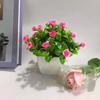 Venda Direta de Fábrica de Plantas em Vasos Simuladas com 18 Rosas de Chá Pequenas, Margaridas, Pinhas, Botões de Hibisco, Plantas em Vasos de Flores Artificiais, Enfeites de Plantas Verdes Simuladas