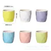 Vaso de Cerâmica Suculenta Conjunto Macaron Planta Cacto Em Vasos Decoração de Mesa Fabricante de Vasos Atacado Estilo de Mesa