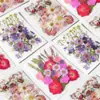 33 Piezas de Combinación con Relieve, Se Pueden Usar para Calcomanías Hechas a Mano, Fundas de Teléfono Secadas con Pegamento, Velas de Aromaterapia, Producción Creativa de Flores, Decoración del Hogar, Regalos de Acción de Gracias y Navidad