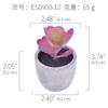 [Suculentas Mini] Planta Suculenta Artificial Bonsái en Maceta de Pulpa de Papel (Maceta Incluida) Adorno Ornamental Imitación de Planta