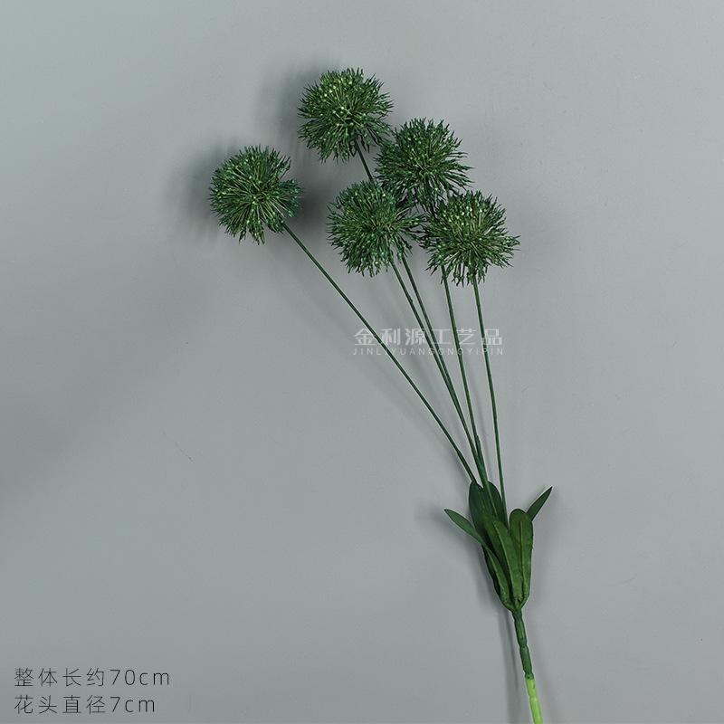 5头葱球