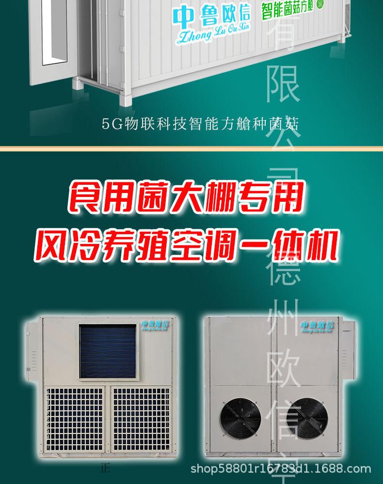 详情页1_02.jpg