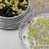 Estilo Ins Nicho Lentejuelas Antiguas Joyería para Uñas Arte de Uñas Límite Otoño e Invierno Redondo de 2 mm DIY Hecho a Mano Decorativo para Uñas