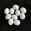 10 Piezas con Envío Gratis, Huevos Falsos para Pájaros, Loros, Huevos de Apariencia Real, Huevos de Pinzón Perla, Huevos de Agapornis, Huevos de Periquito, Huevos Señuelo