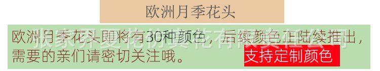 欧月花头_10.jpg