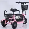 Triciclo Eléctrico, Pequeño, Triciclo Plegable Ligero para Recoger Niños y Señoras, Uso Doméstico para Ancianos, Leidezhu