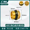Enchufe a Prueba de Explosiones de Rosca Hexagonal Exterior de Cobre de 4 Puntos Cable Enchufe Tapa de Enchufe de 6 Puntos Tapón de Tubería de Pared de 1 Pulgada con Diente Interior Tapa para Tubería de Agua