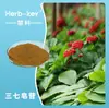 Saponinas de Panax notoginseng 10%-80% Fornecimento à vista pelos fabricantes de Shaanxi Huike Extrato de haste e folha de Panax notoginseng