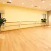 Barra de Baile de Doble Capa Montada en la Pared con Altura Ajustable para Estiramientos, Adecuada para Estudios de Danza, Uso en Casa, Escuelas, Niños y Adultos