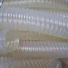 Mangueira de Tendão de PVC Atacado 2 Polegadas 2,5 Polegadas 3 Polegadas 3,5 Polegadas 4 Polegadas Mangueira Espiral para Esgoto e Extração de Água