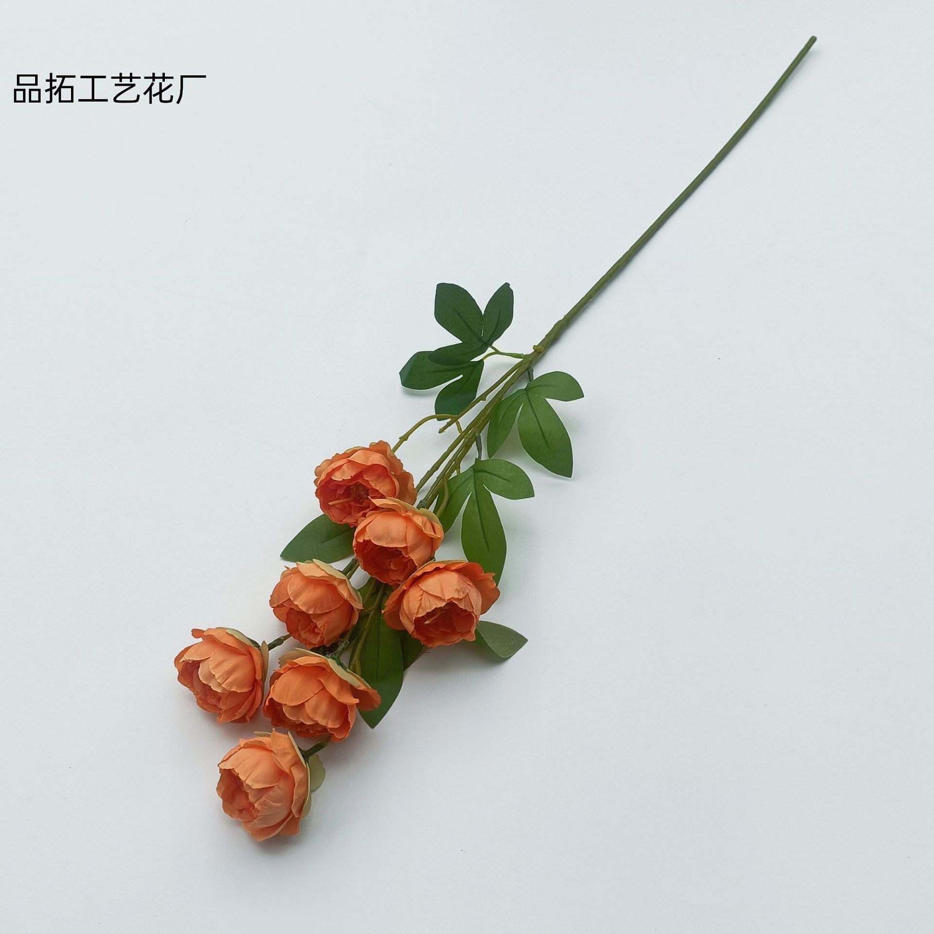 e4a8c2e1766d29a9a914c0b8b360db