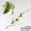 Vid de mimbre de cuero sintético vid vid muerta vid de montaña roja vid de hoja de uva de montaña profunda ramas de árbol de vid vieja plantación artificial