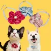 Collares para Mascotas Transfronterizos, Collares de Perlas para Gatos, Collares de Moda con Flores, Accesorios Estilo Princesa para Perros, Joyería Personalizada para Mascotas