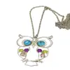 Collar de Búho Hueco Vintage, Cadena Larga de Nicho Otoño e Invierno con Pedrería, Colgante Grande Exagerado Estilo Bohemio