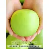 Peras Frescas, Peras Verdes Dangshan, Envío Gratis de Temporada, Caja Completa, Peras Corona, Peras Nieve, Peras Fragantes, China