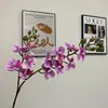 Mini Film de Mano 2 Tenedor Phalaenopsis Flor Artificial Floricultura Avanzada Decoración Sala de Estar Mesa de Café Decoración de Mueble de TV