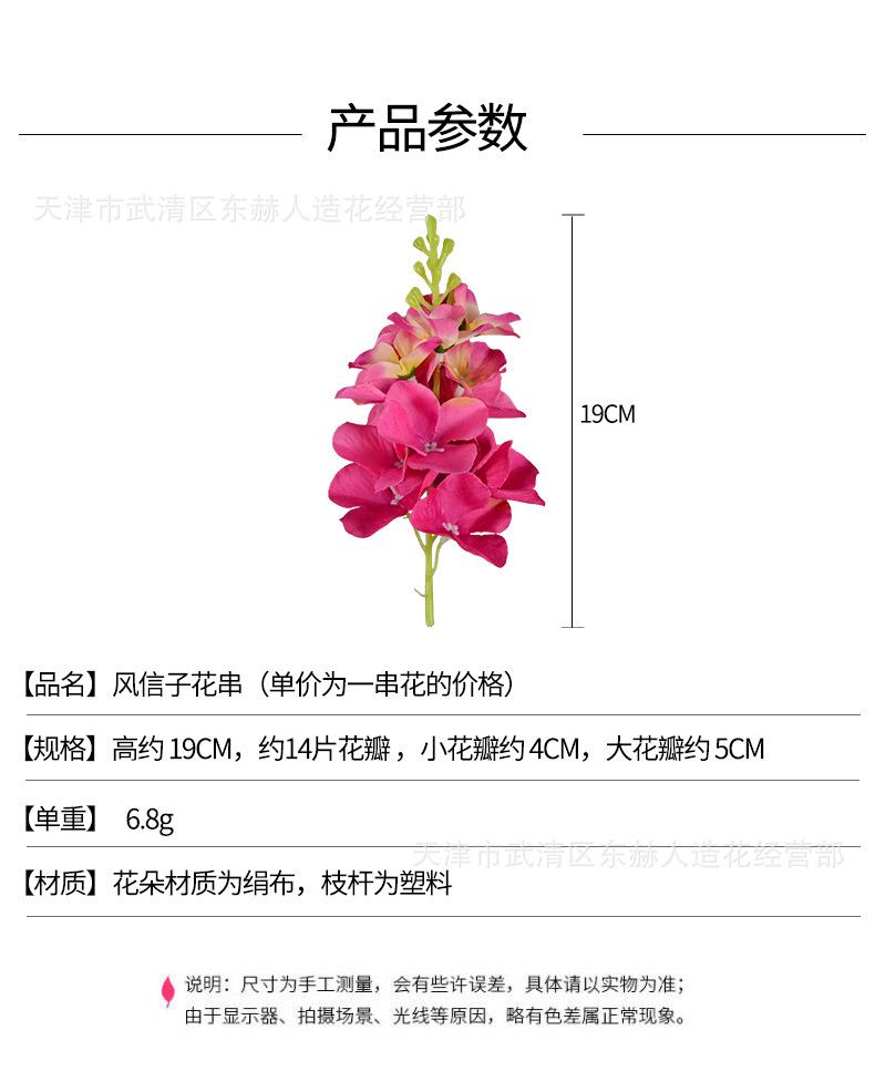 详情_01.jpg