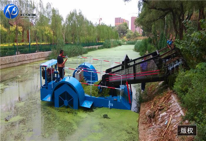 1河北廊坊水浮萍打捞船 (1).jpg